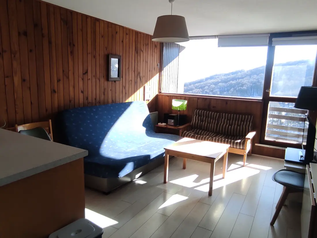 Location de Vacances Besse-et-Saint-Anastaise-Super Besse 69