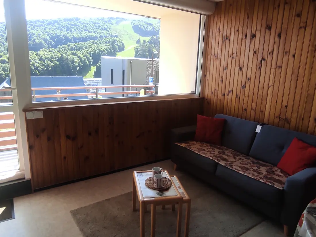 Location de Vacances Besse-et-Saint-Anastaise-Super Besse 70