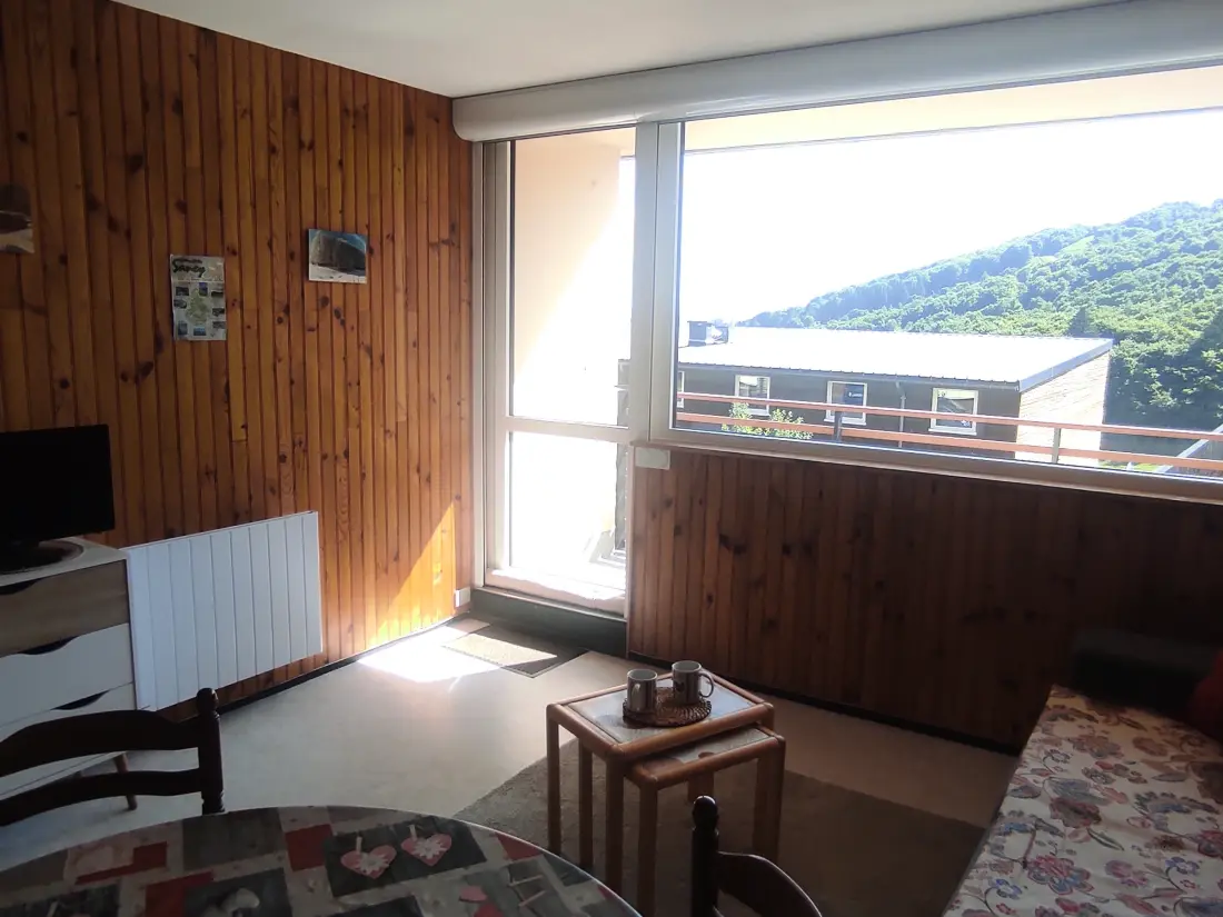 Location de Vacances Besse-et-Saint-Anastaise-Super Besse 70