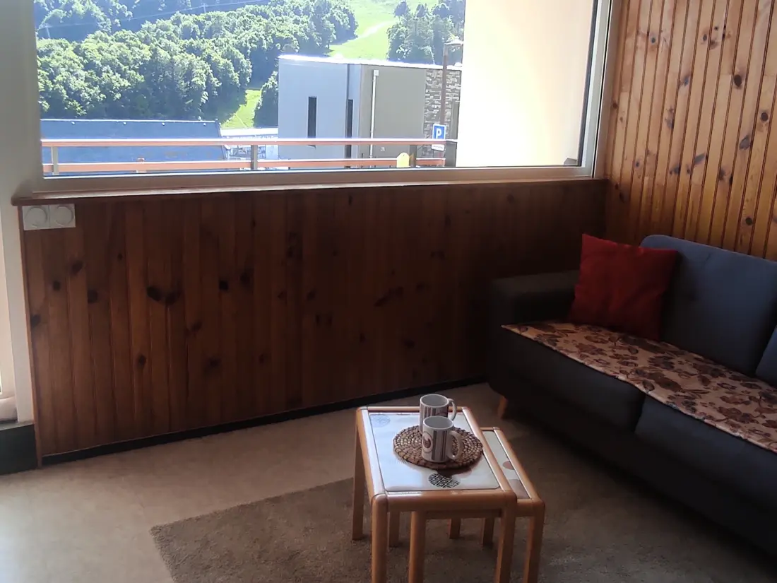 Location de Vacances Besse-et-Saint-Anastaise-Super Besse 70