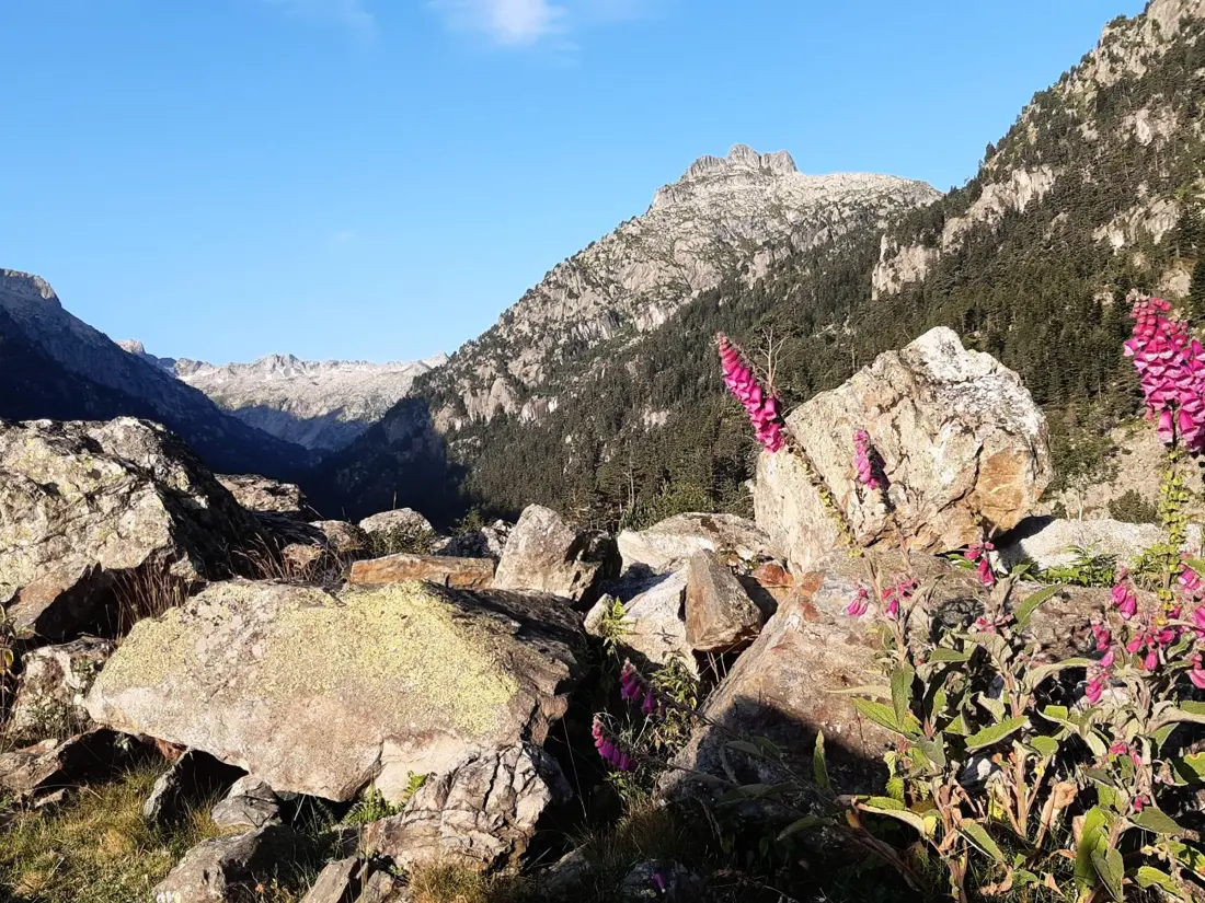 Location de Vacances Cauterets 207