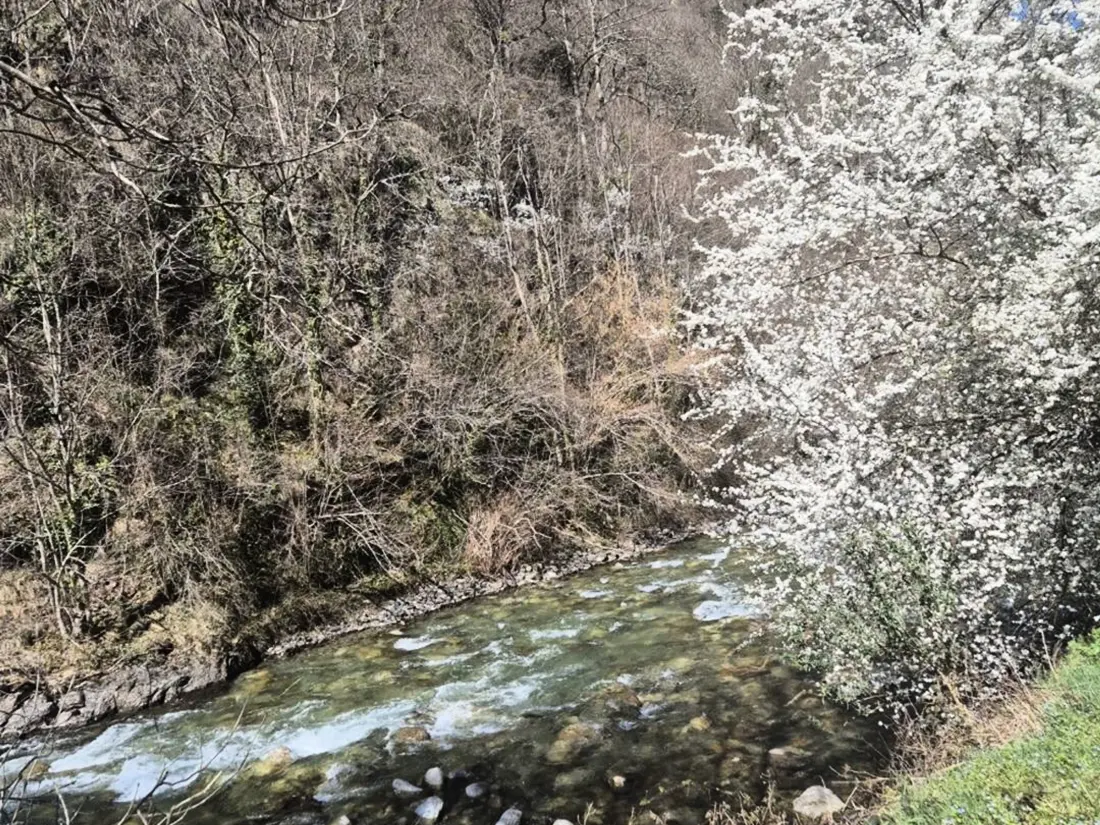 Location de Vacances Cauterets 228