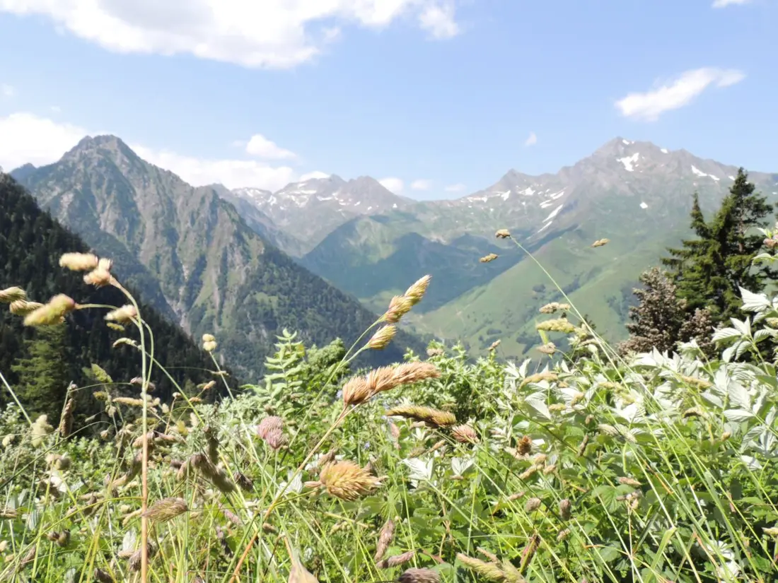 Location de Vacances Cauterets 612