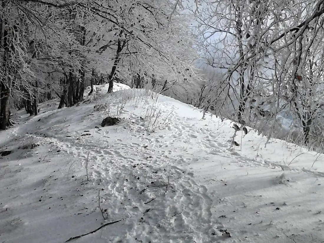 Location de Vacances Cauterets 840
