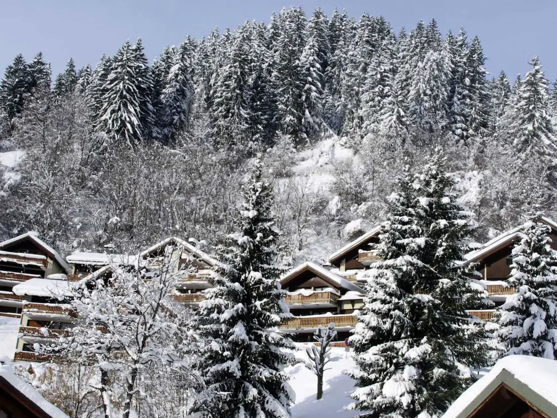 Location de Vacances Champagny-en-Vanoise 13