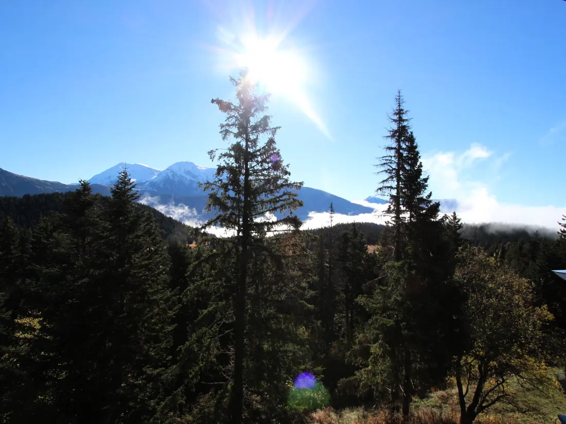 Location de Vacances Chamrousse 249
