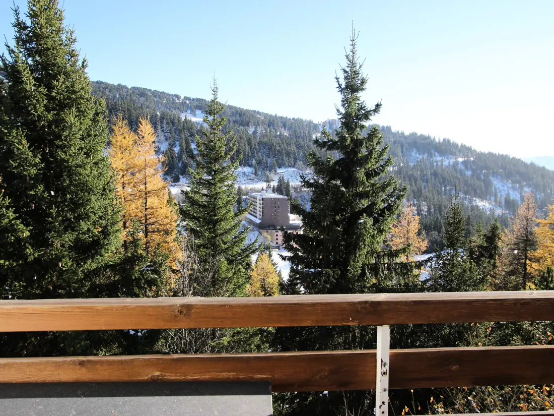 Location de Vacances Chamrousse 252