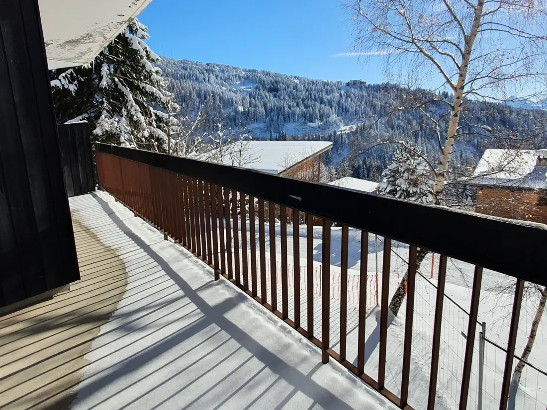Location de Vacances Chamrousse 273