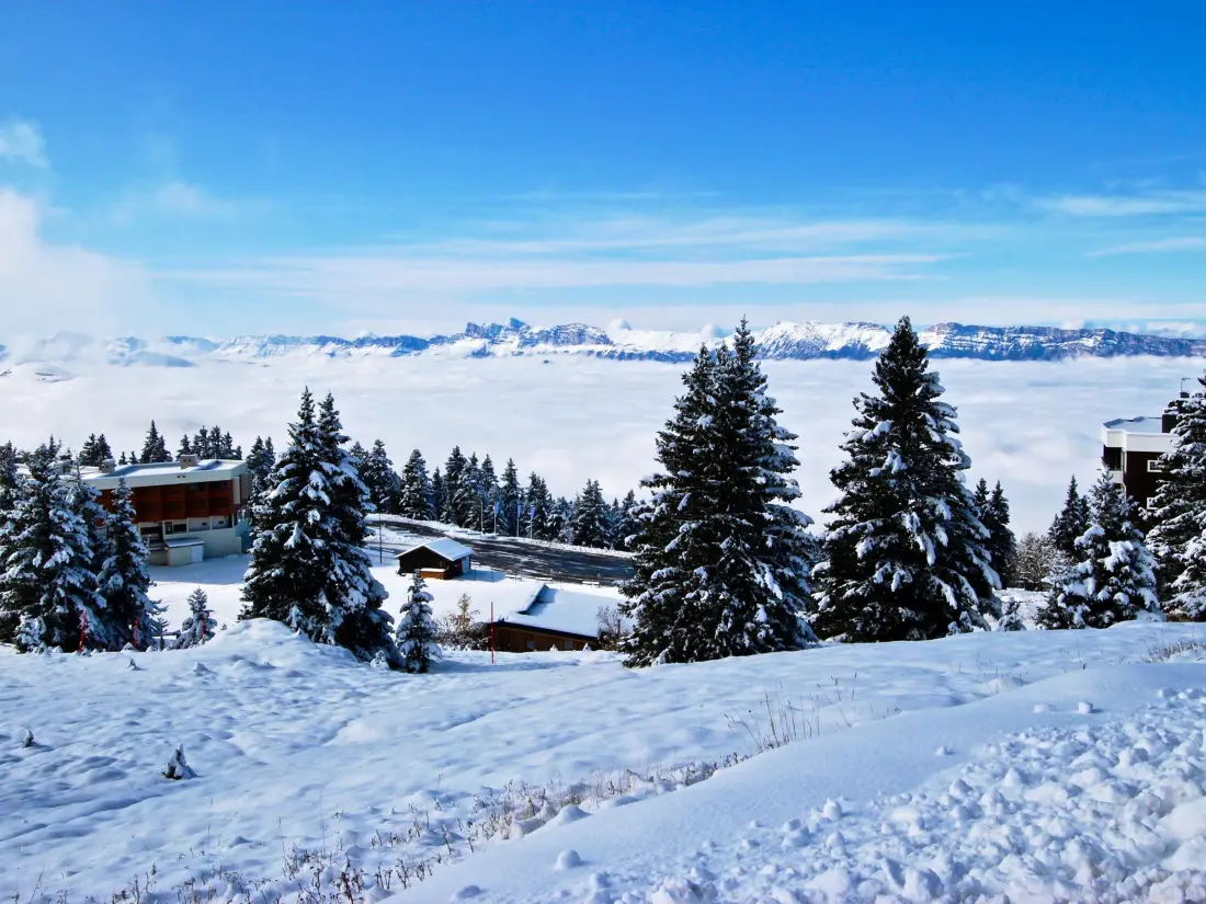 Location de Vacances Chamrousse 301