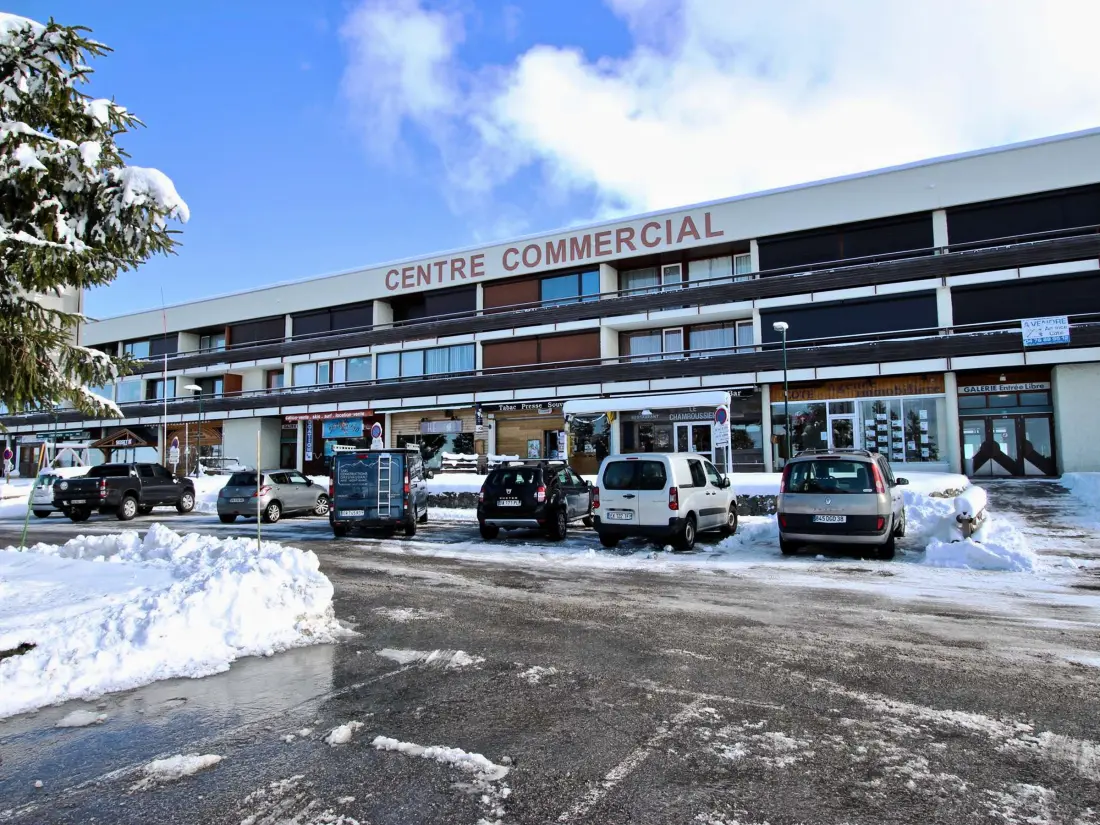 Location de Vacances Chamrousse 49