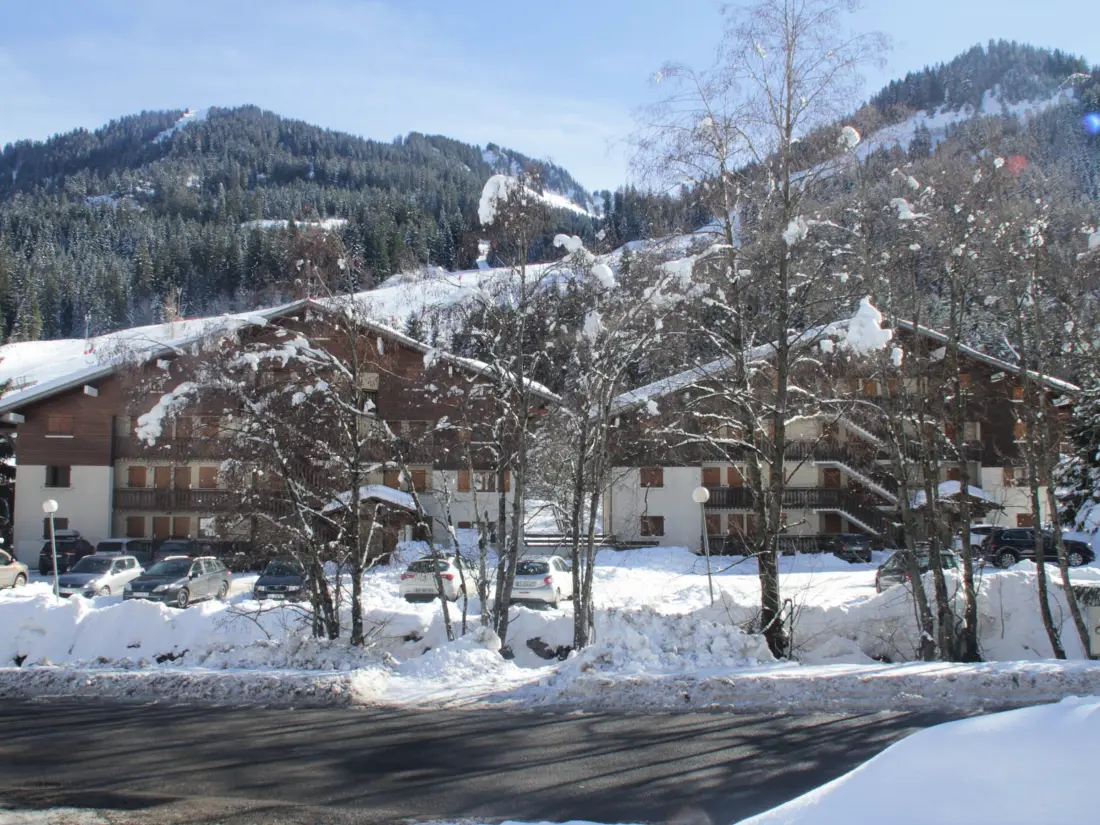 Location de Vacances Châtel 119