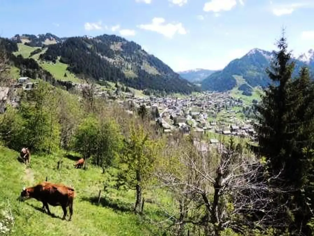 Location de Vacances Châtel 132
