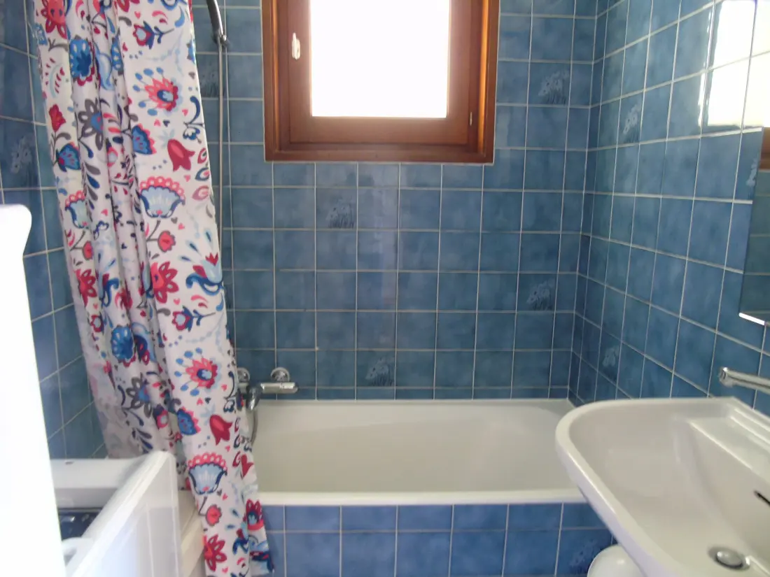 Location de Vacances Châtel 156