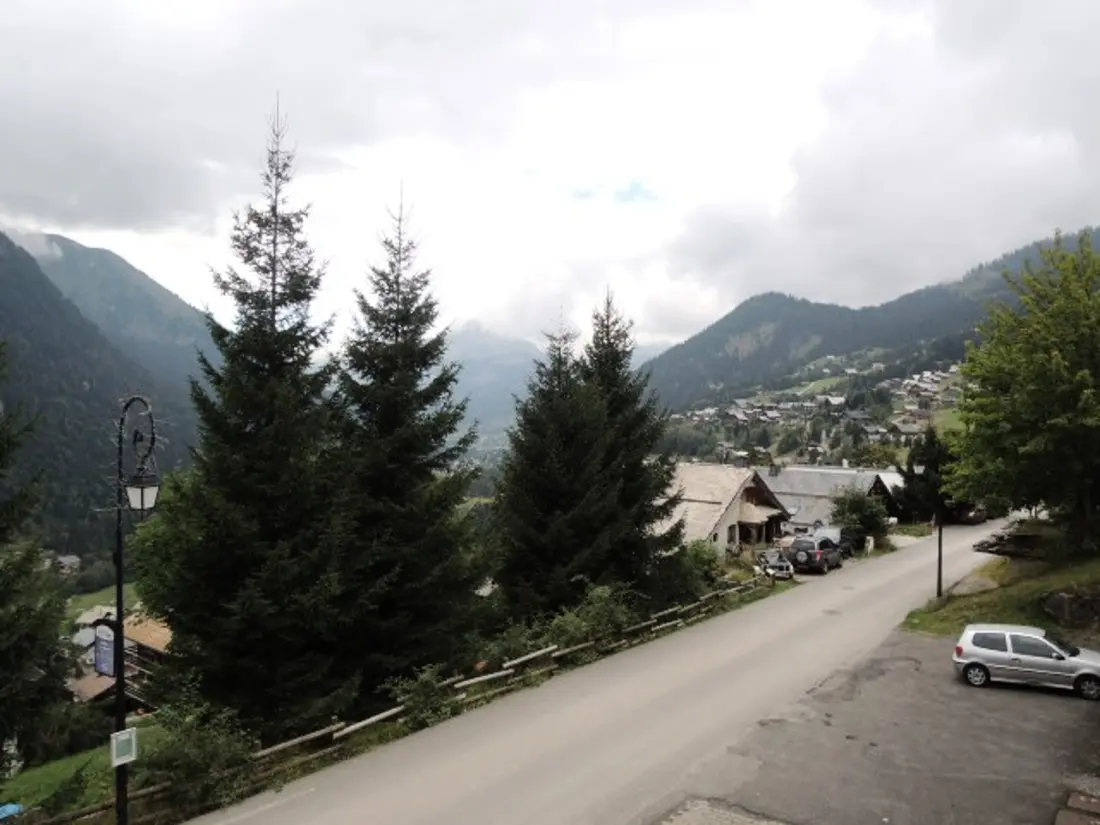 Location de Vacances Châtel 156