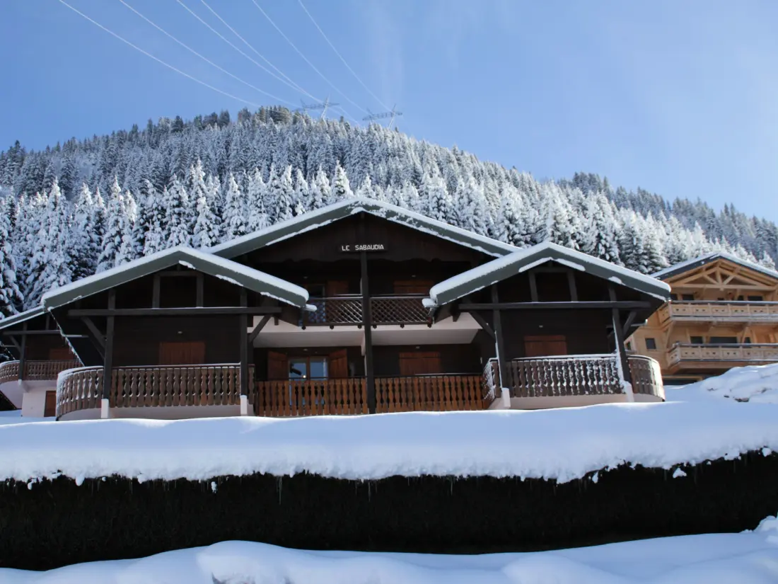 Location de Vacances Châtel 213