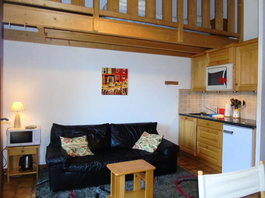 Location de Vacances Châtel 213