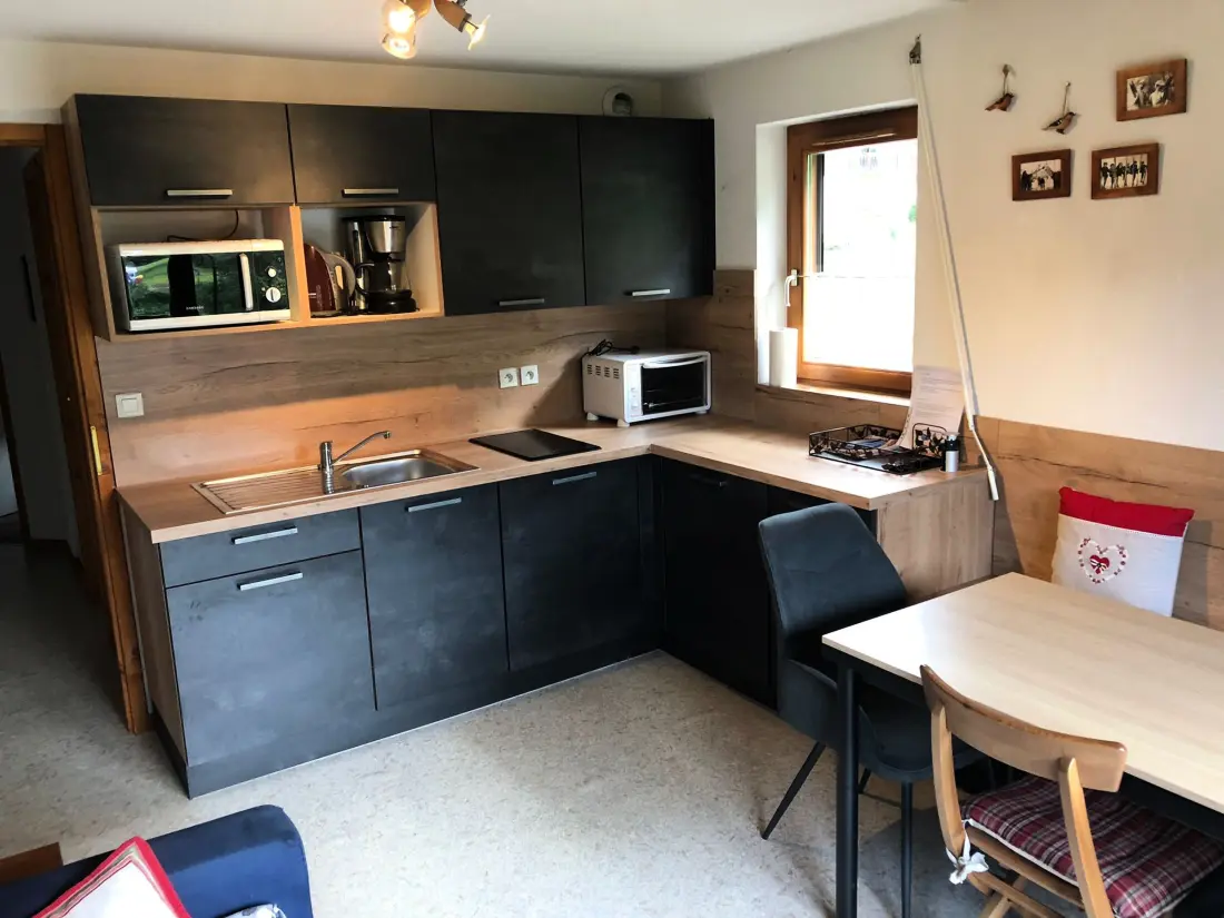 Location de Vacances Châtel 343