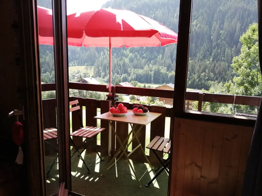 Location de Vacances Châtel 348