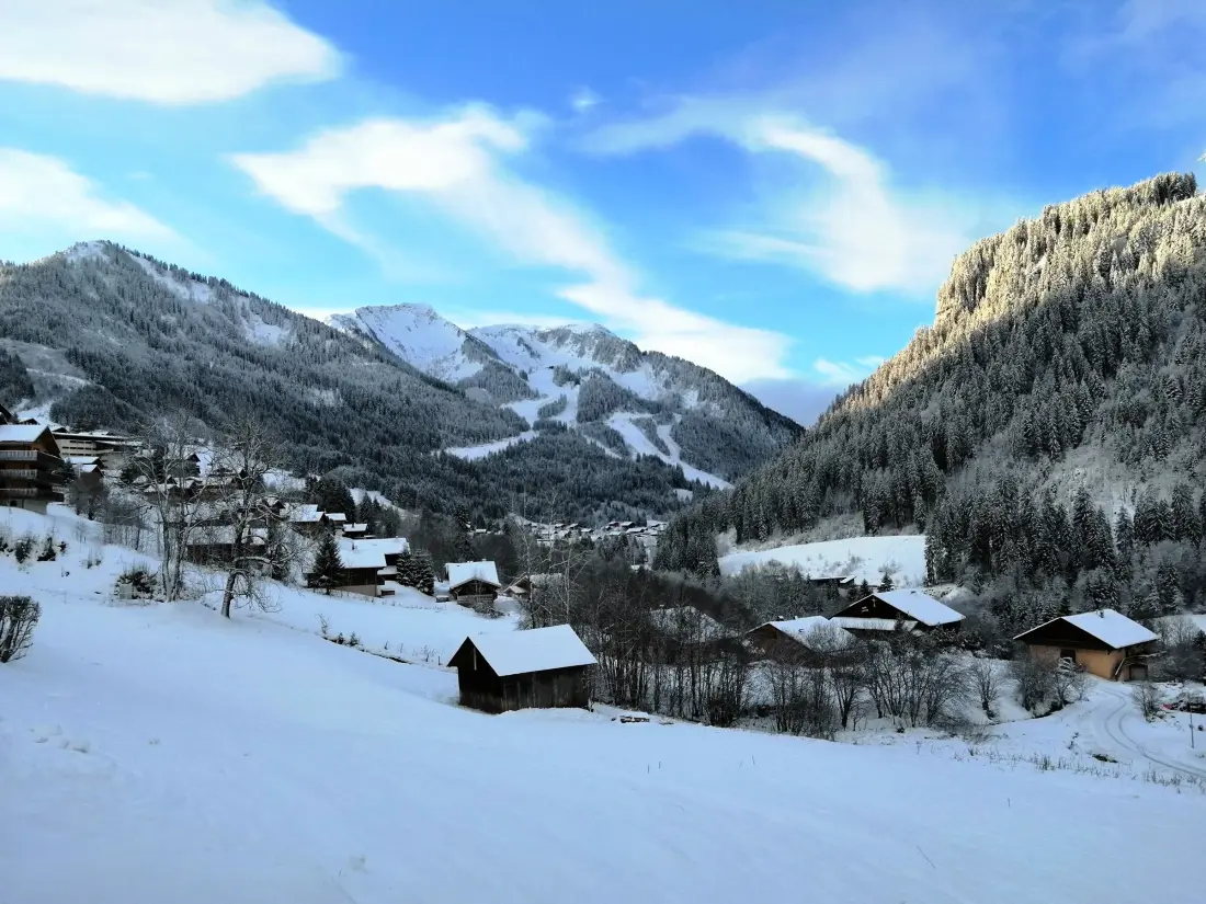 Location de Vacances Châtel 348
