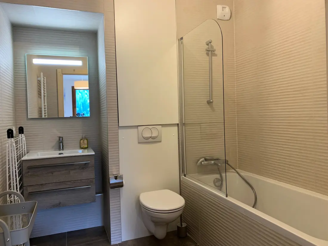 Location de Vacances Châtel 350