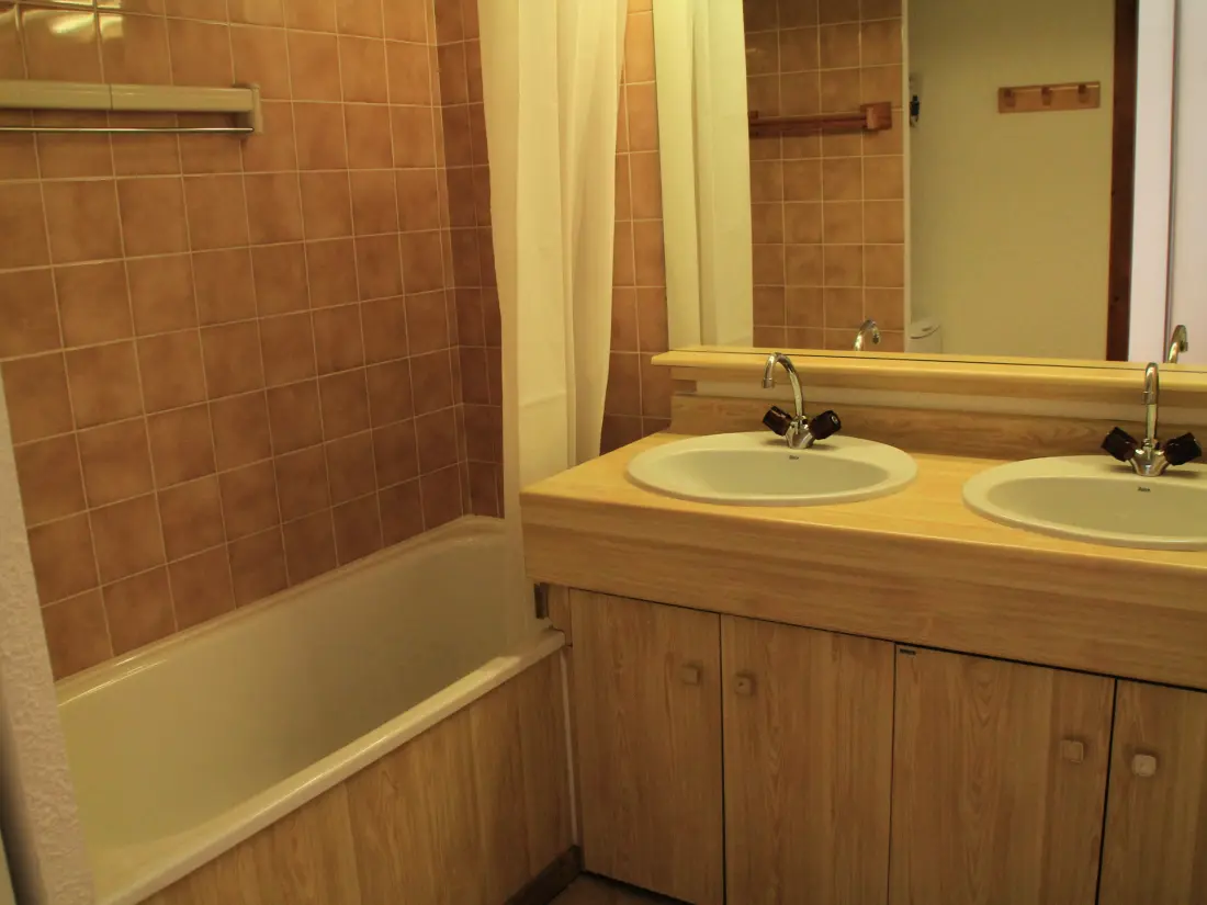 Location de Vacances Châtel 373