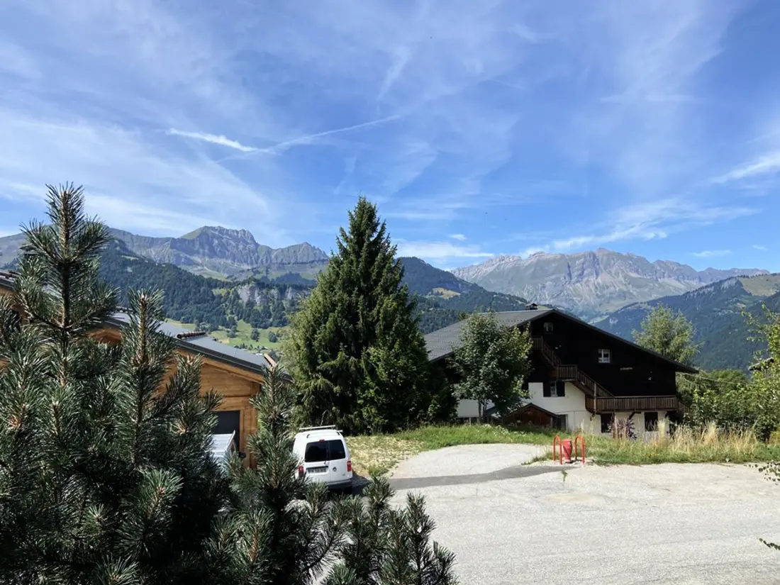Location de Vacances Crest-Voland 167