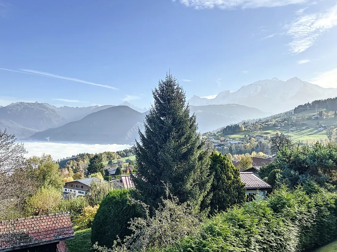 Location de Vacances Combloux 116