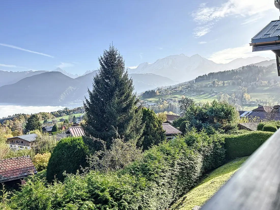 Location de Vacances Combloux 116