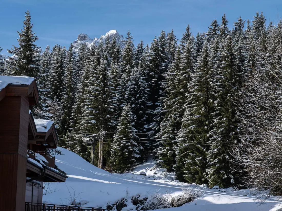Location de Vacances Courchevel 168
