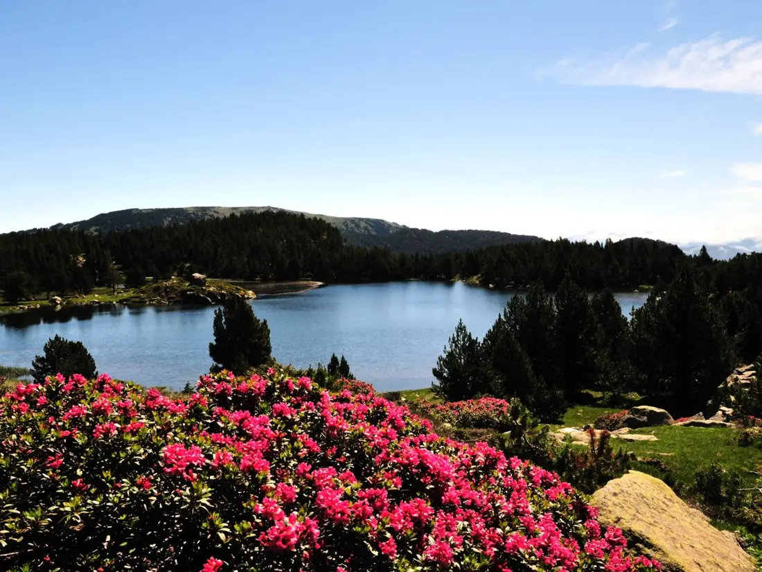 Location de Vacances Font-Romeu-Odeillo-Via 44