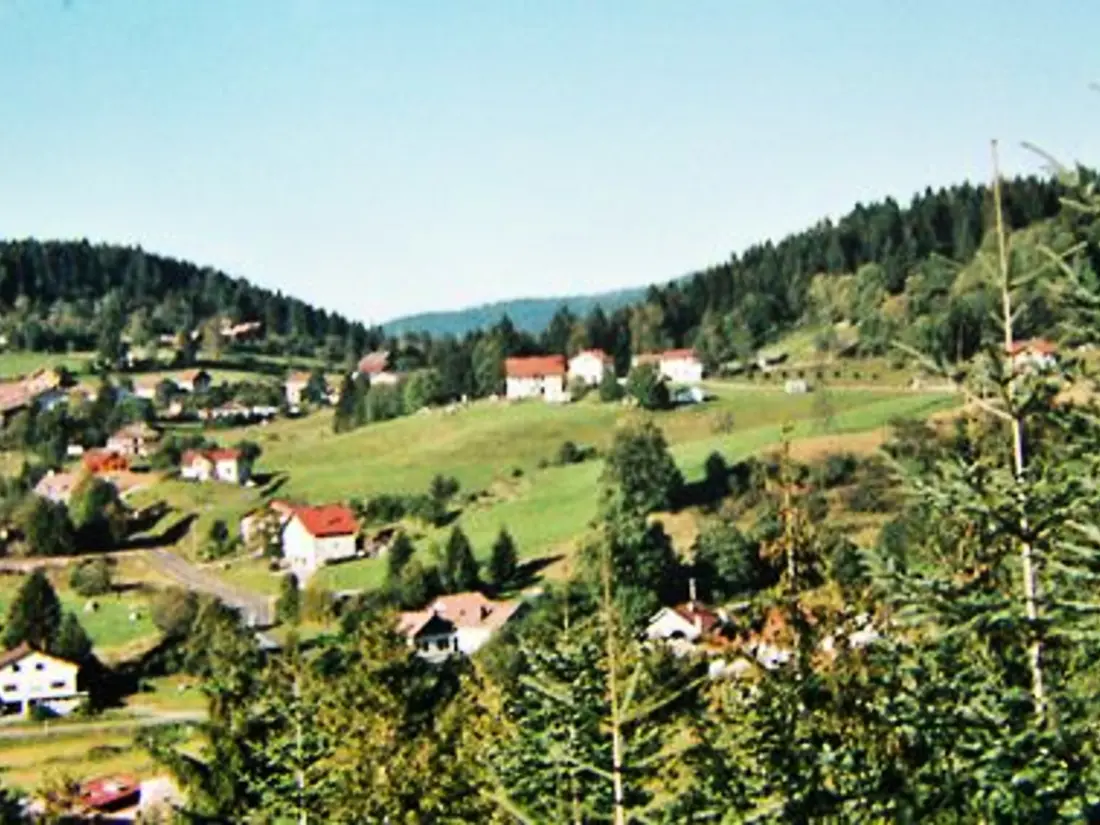 Maison de Vacances GERARDMER 14