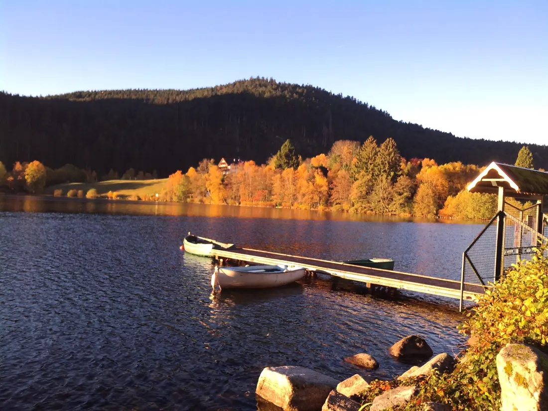 Maison de Vacances GERARDMER 14