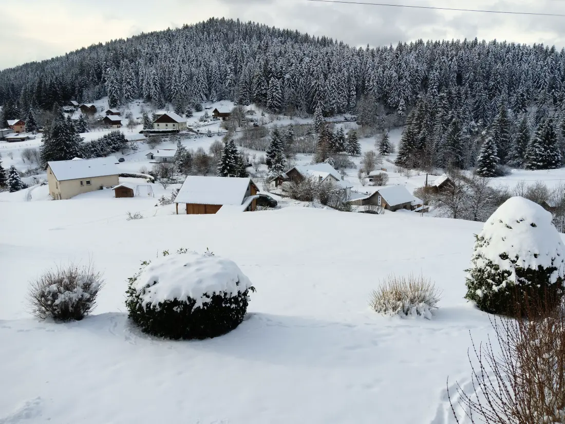 Maison de Vacances GERARDMER 14