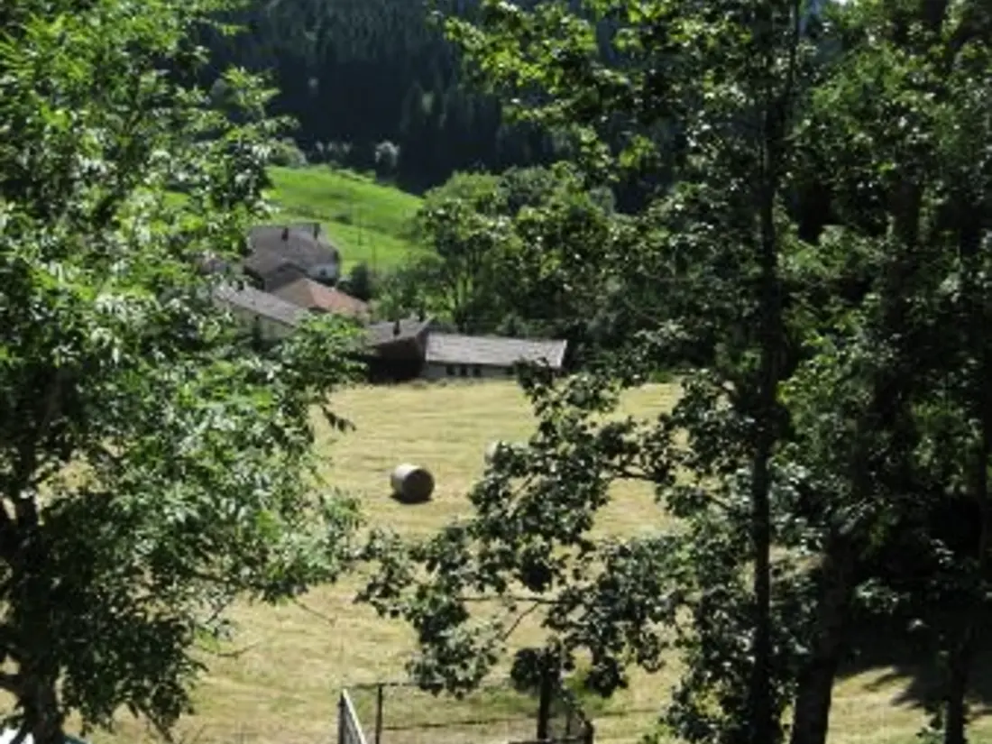 Maison de Vacances GERARDMER 24