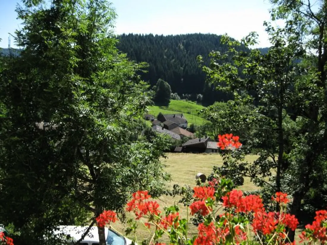 Maison de Vacances GERARDMER 24