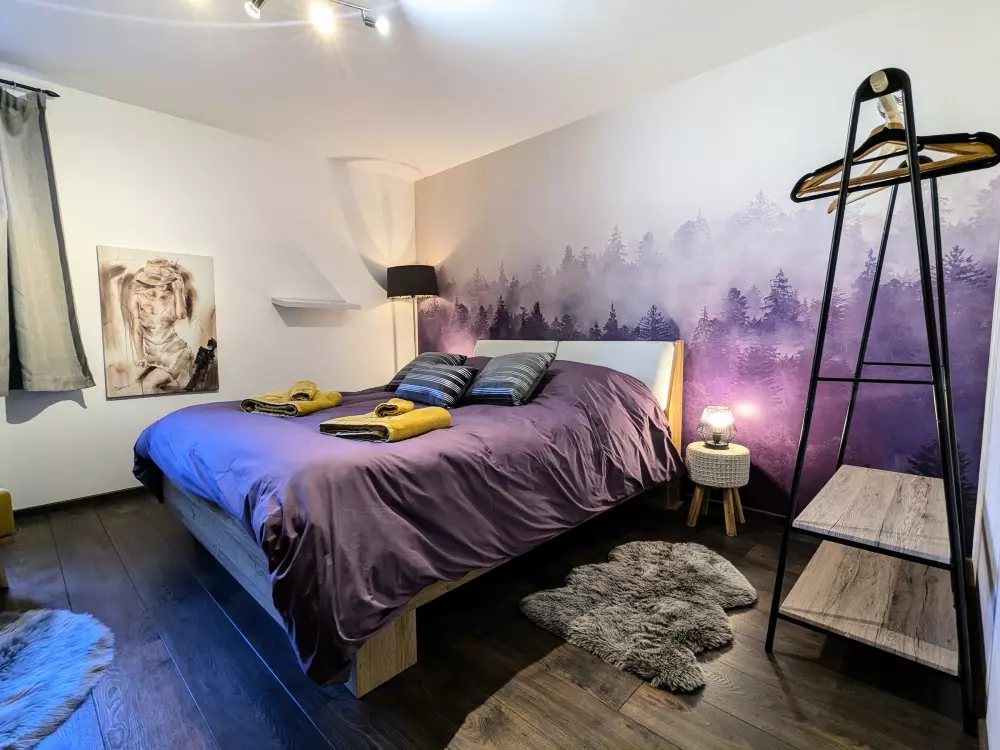 Maison de Vacances GERARDMER 78