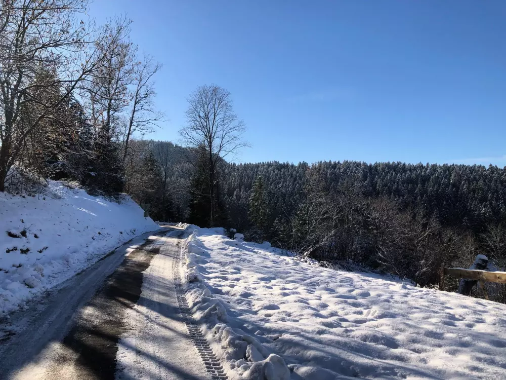 Maison de Vacances GERARDMER 78
