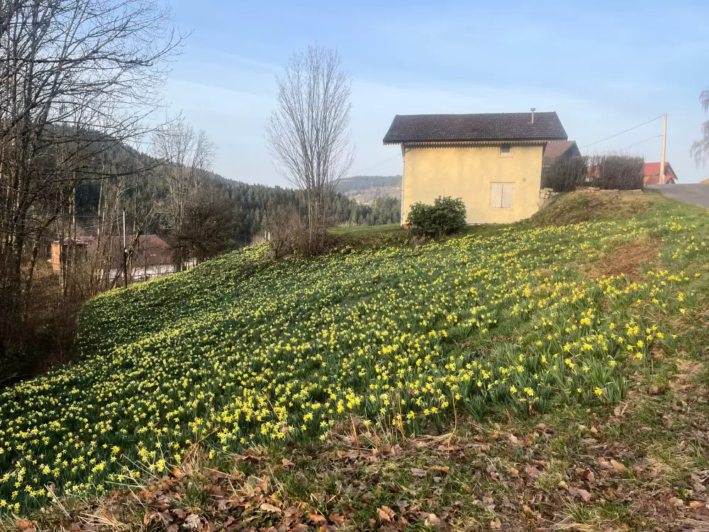 Maison de Vacances GERARDMER 80