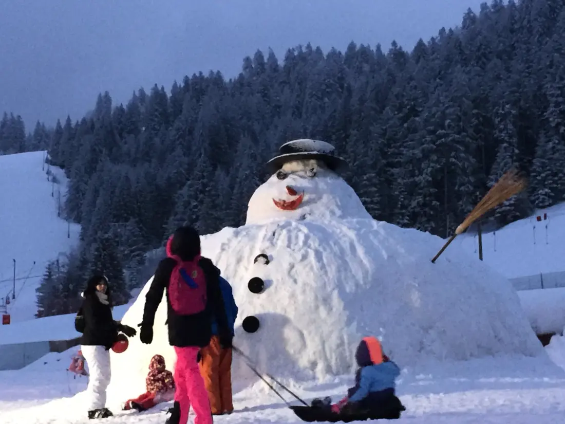 Maison de Vacances Gerardmer