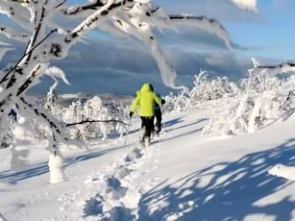 Maison de Vacances La Bresse 10