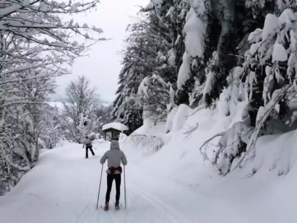 Maison de Vacances La Bresse 10
