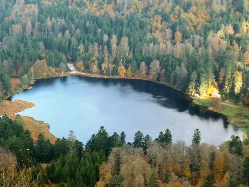 Maison de Vacances La Bresse 10