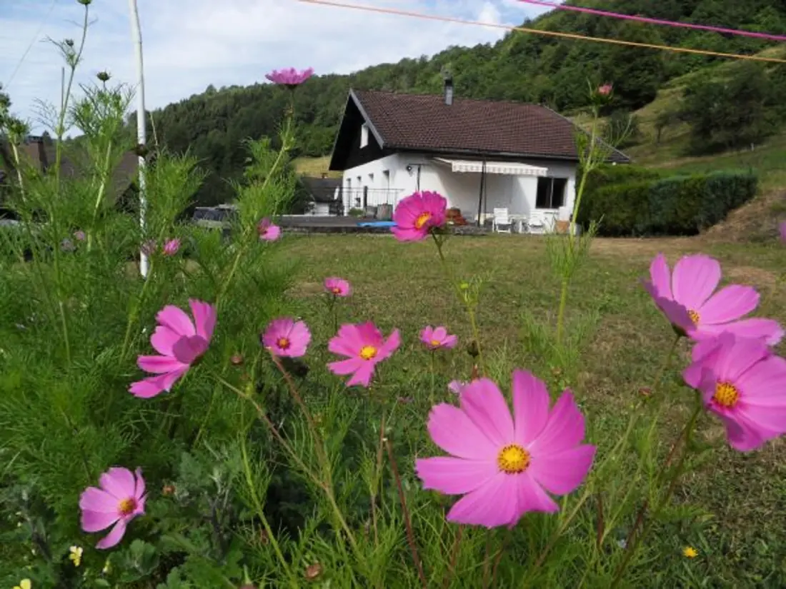 Maison de Vacances La Bresse 8