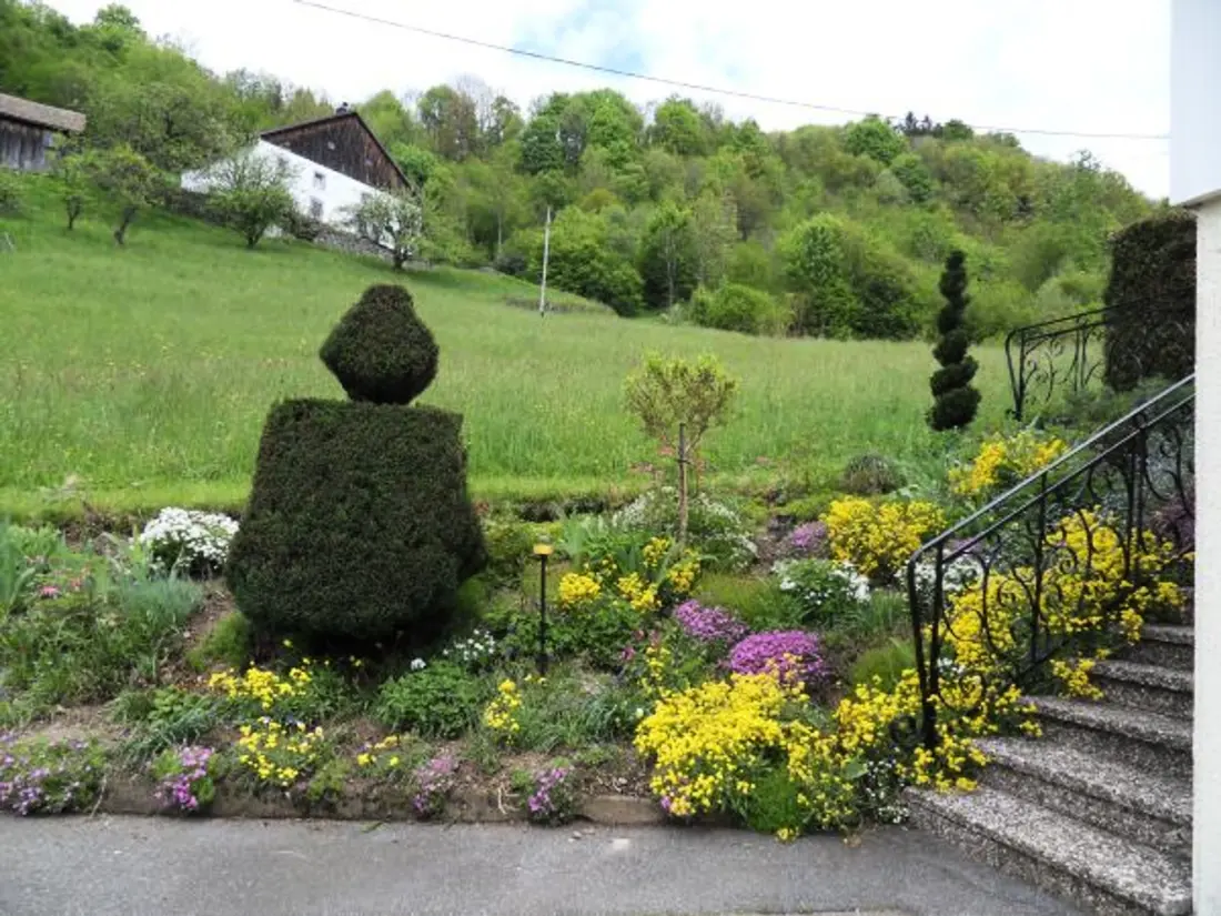 Maison de Vacances La Bresse 8