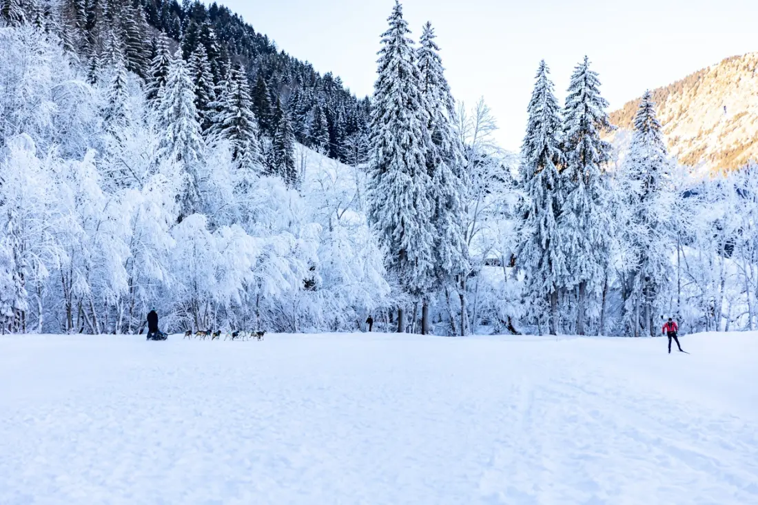 Oasis Les Portes du Soleil