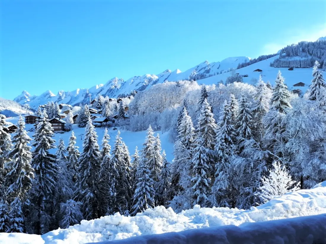 Location de Vacances La Clusaz 371