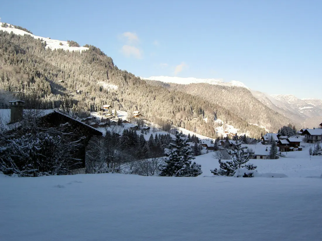 Résidence Reine Des Alpes