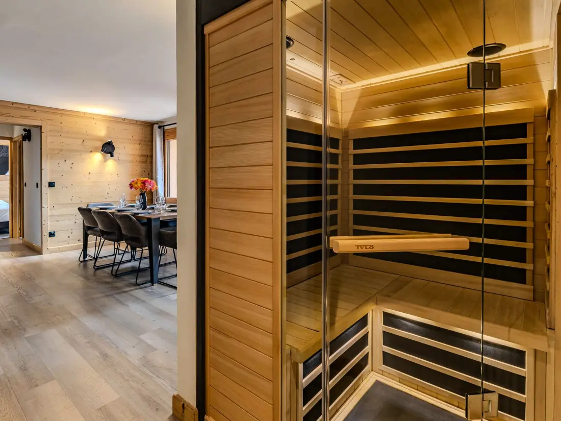 Location de Vacances Belle Plagne 163