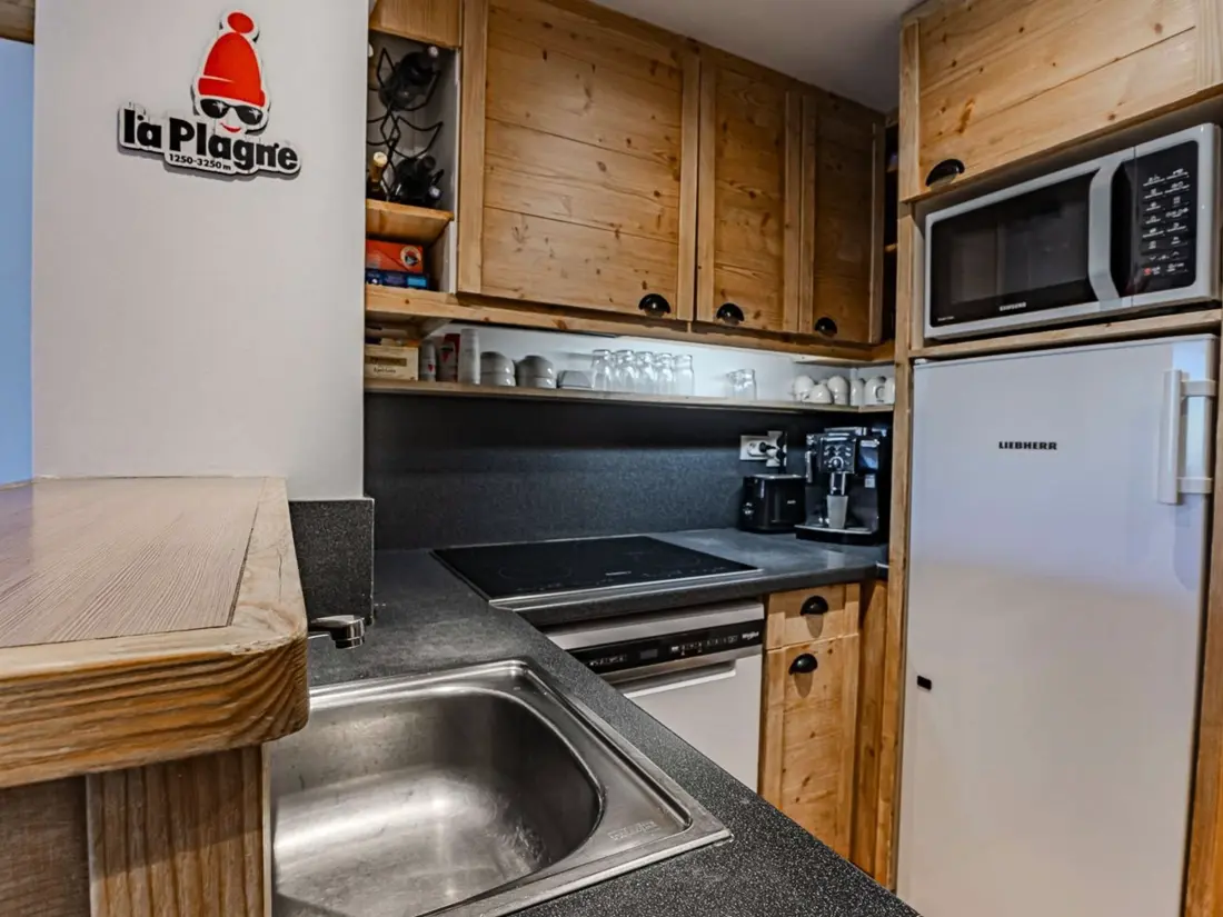 Location de Vacances Belle Plagne 165