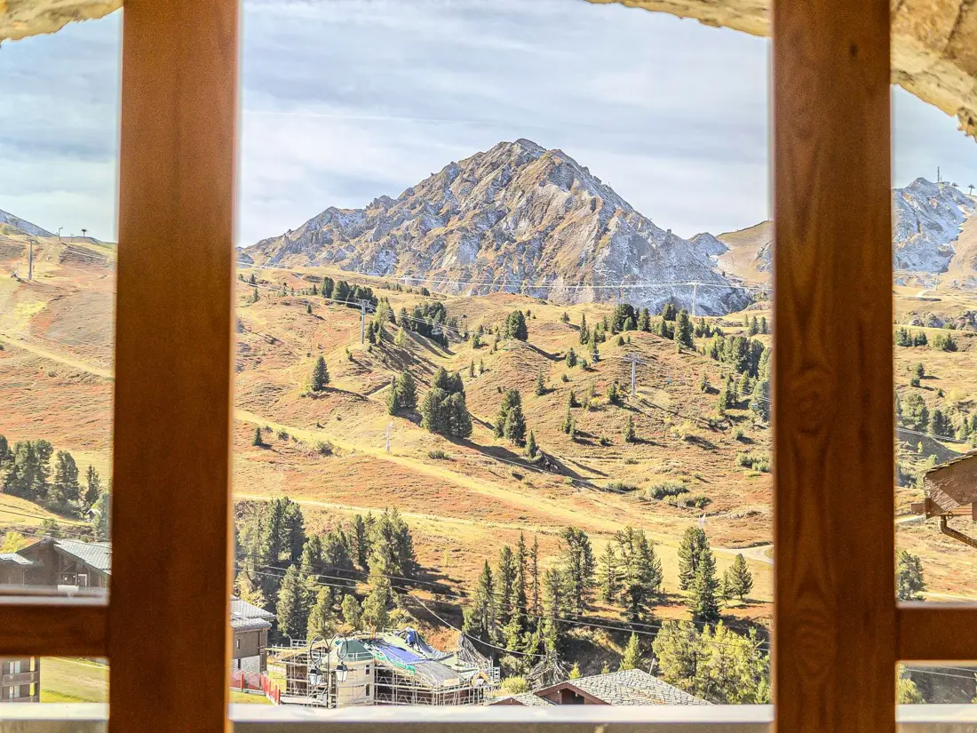 Location de Vacances Belle Plagne 169